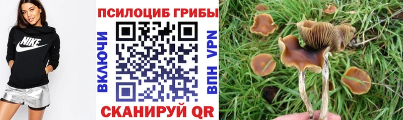 MEGA зеркало  Валдай  даркнет Telegram  Галлюциногенные грибы ЛСД 